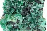 Fluorescent Green Fluorite Cluster - Rogerley Mine, England #184625-1